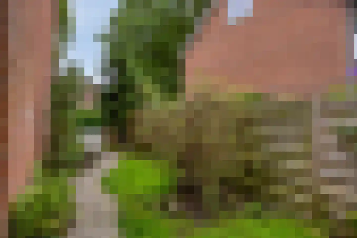 Gerritsstraat 49 Diever thumbnail 31