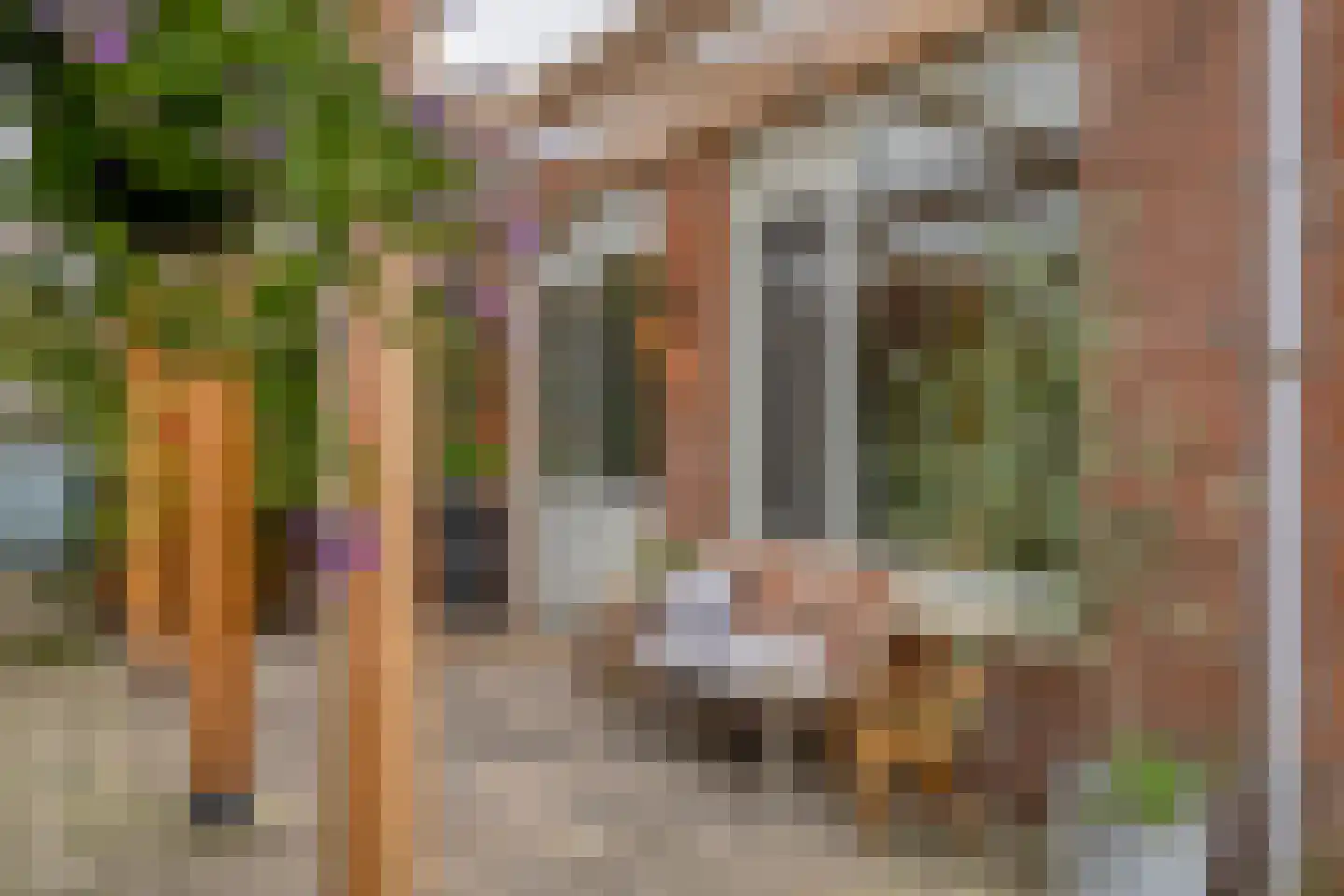 Gerritsstraat 49 Diever thumbnail 32