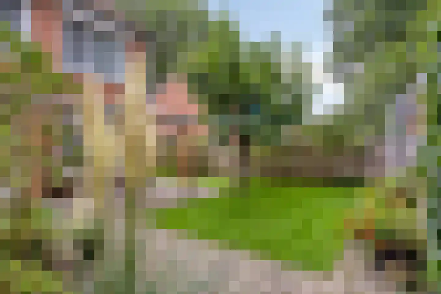 Gerritsstraat 49 Diever thumbnail 34