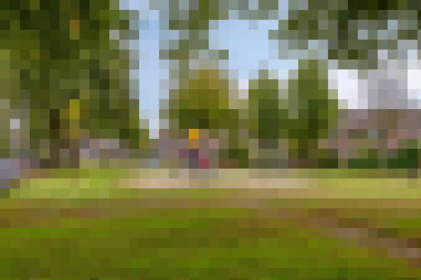 Gerritsstraat 49 Diever thumbnail 38