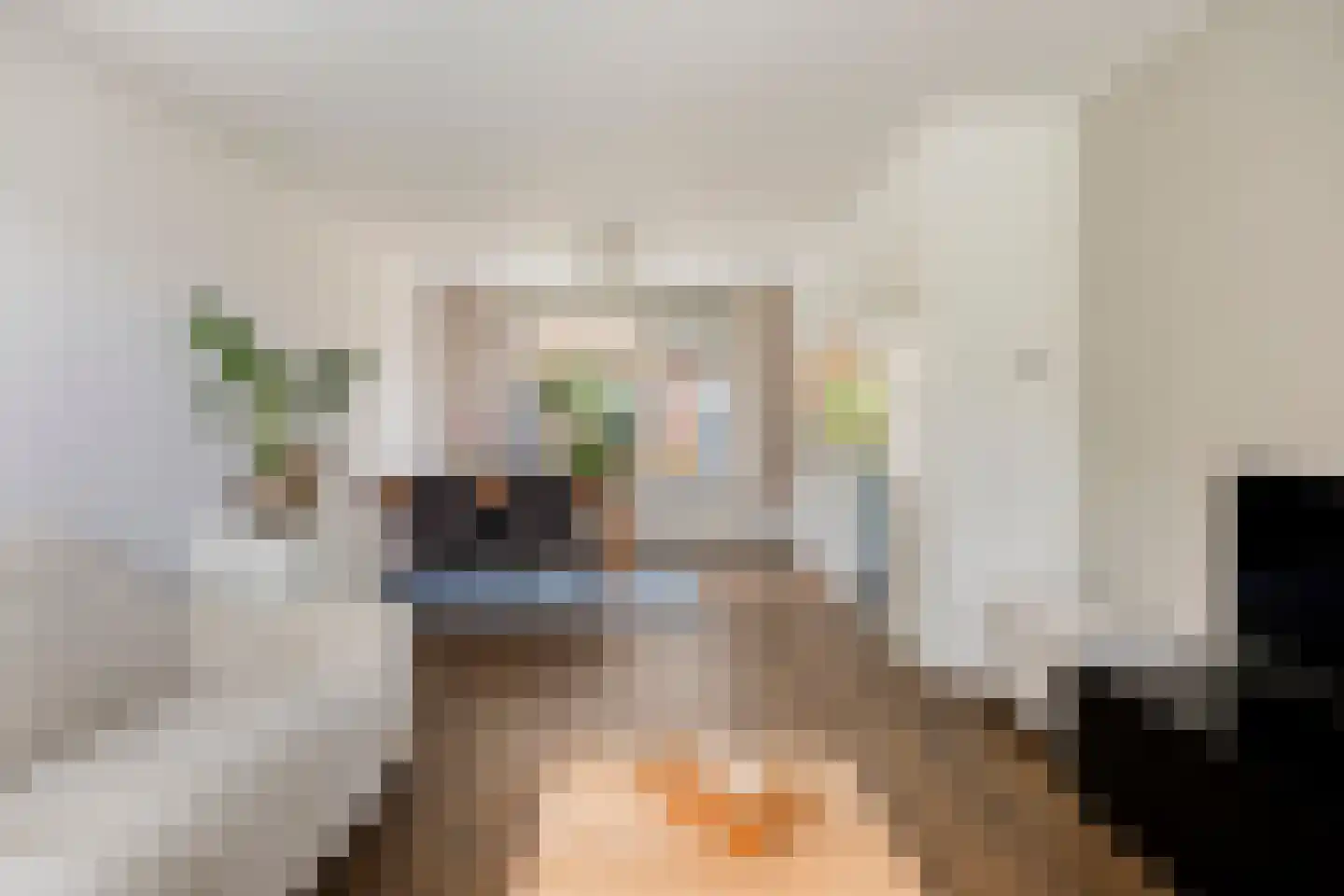 Gerritsstraat 49 Diever thumbnail 6