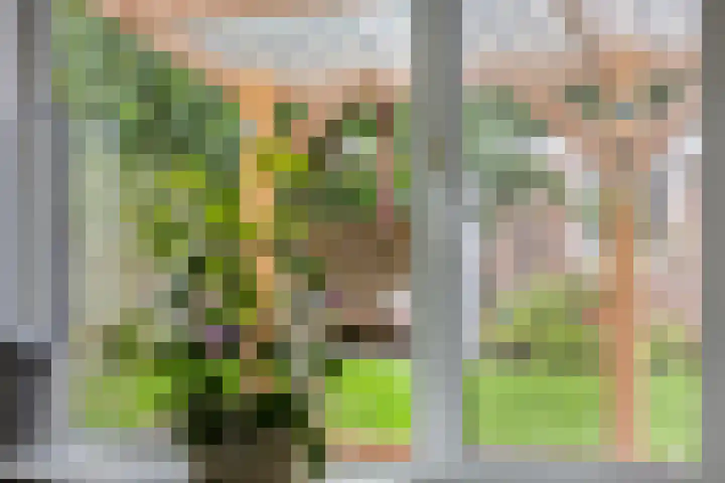 Gerritsstraat 49 Diever thumbnail 9