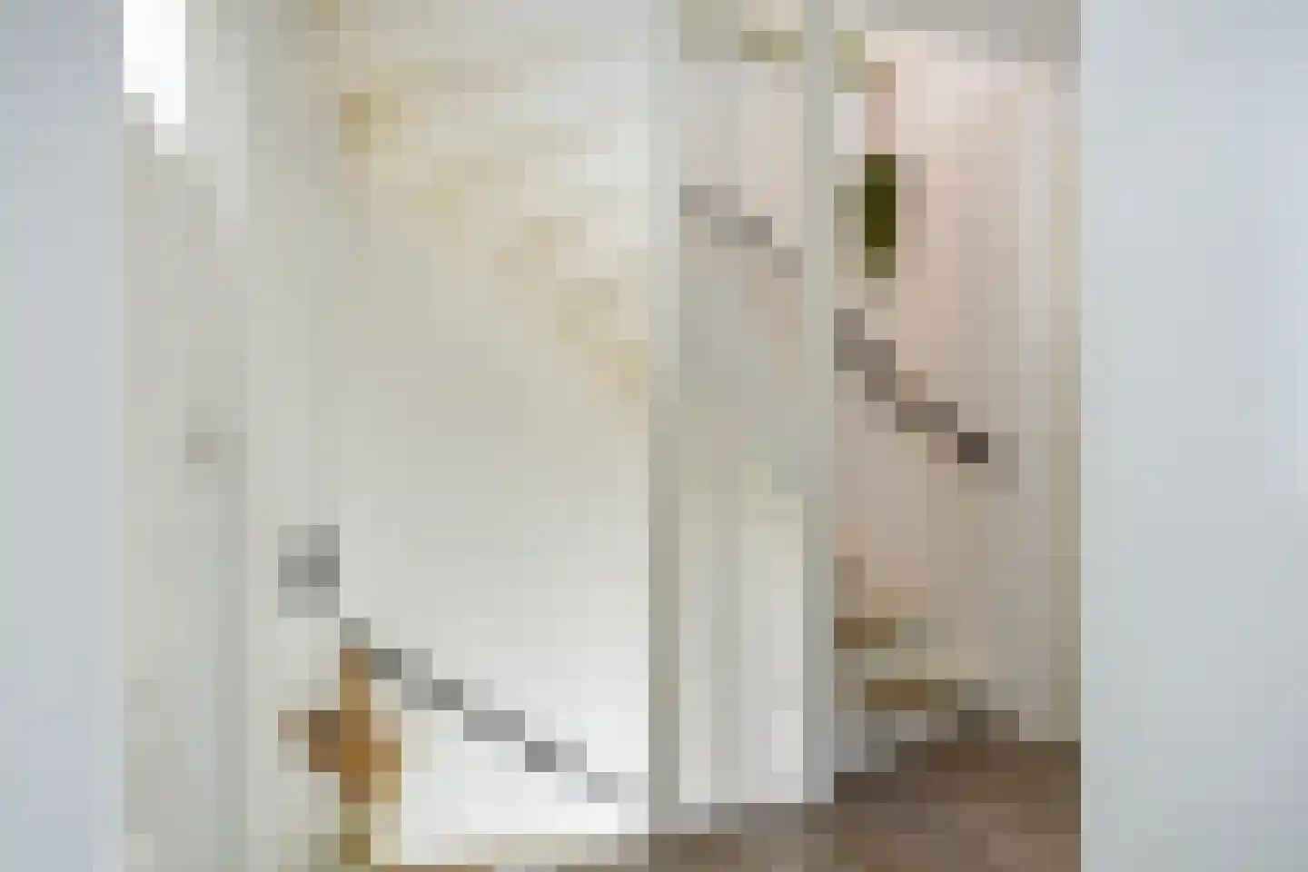 Gerritsstraat 51 Diever thumbnail 15