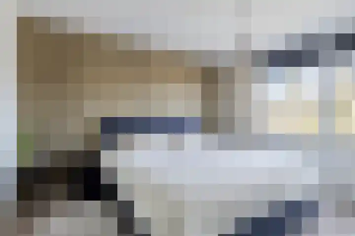 Gerritsstraat 51 Diever thumbnail 16