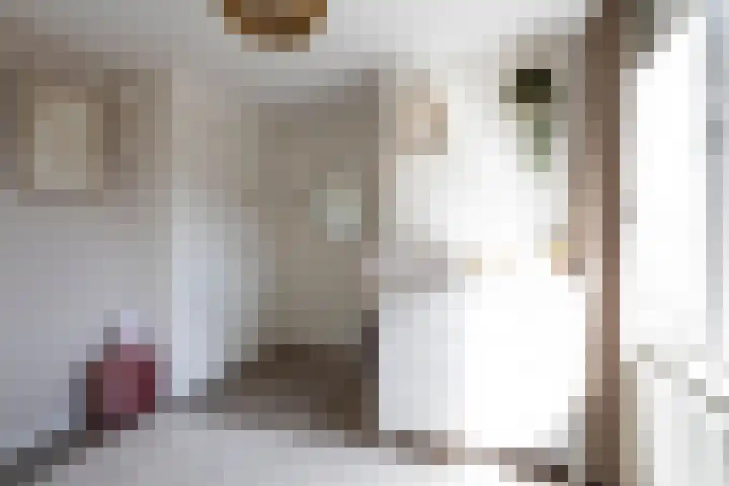 Gerritsstraat 51 Diever thumbnail 22