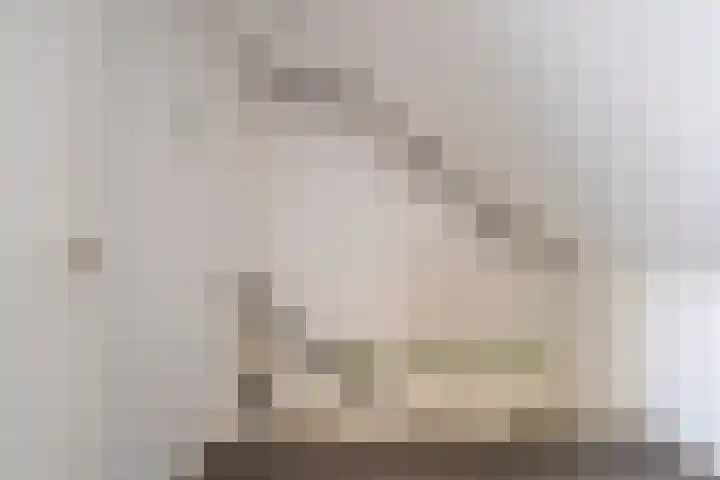Gerritsstraat 51 Diever thumbnail 27