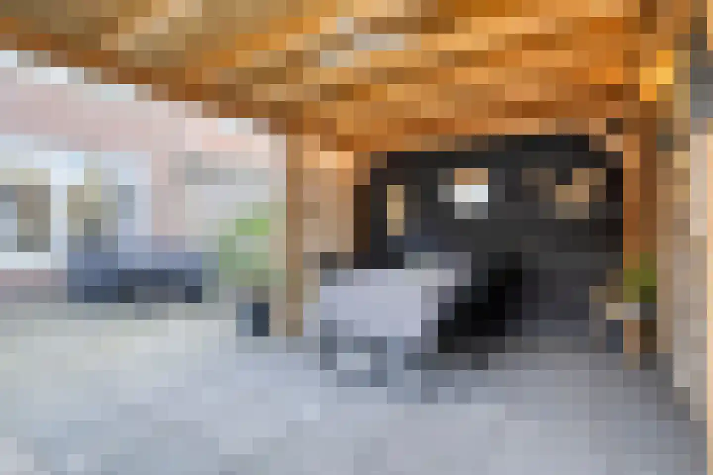 Gerritsstraat 51 Diever thumbnail 31
