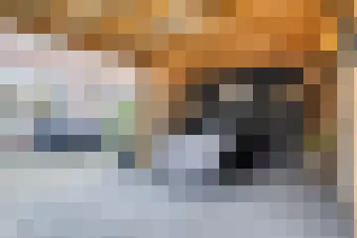 Gerritsstraat 51 Diever thumbnail 31