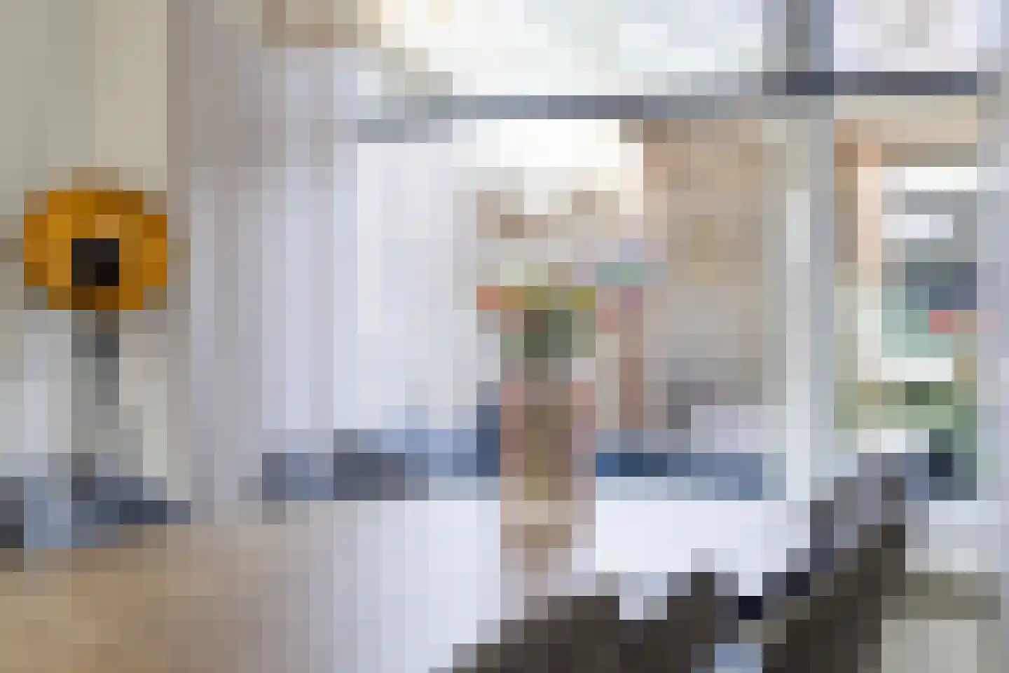 Gerritsstraat 51 Diever thumbnail 6