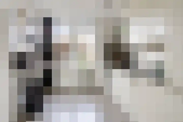 Gerritsstraat 51 Diever thumbnail 9