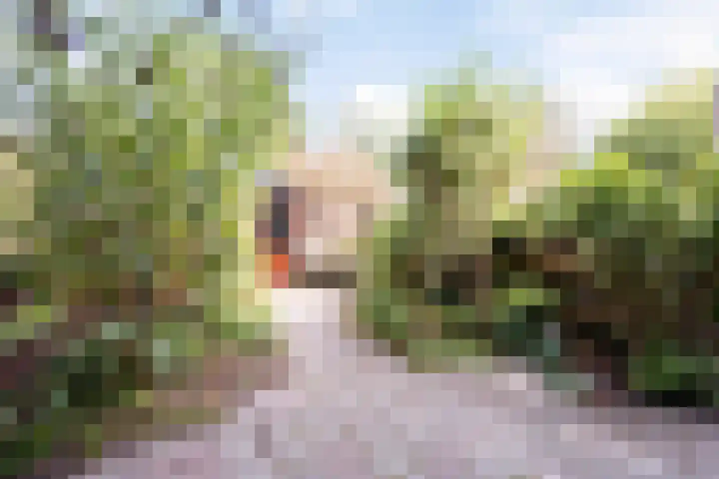 Gershwinlaan 18 Delft thumbnail 30