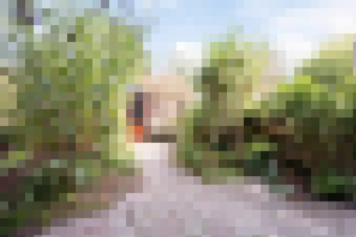 Gershwinlaan 18 Delft thumbnail 30