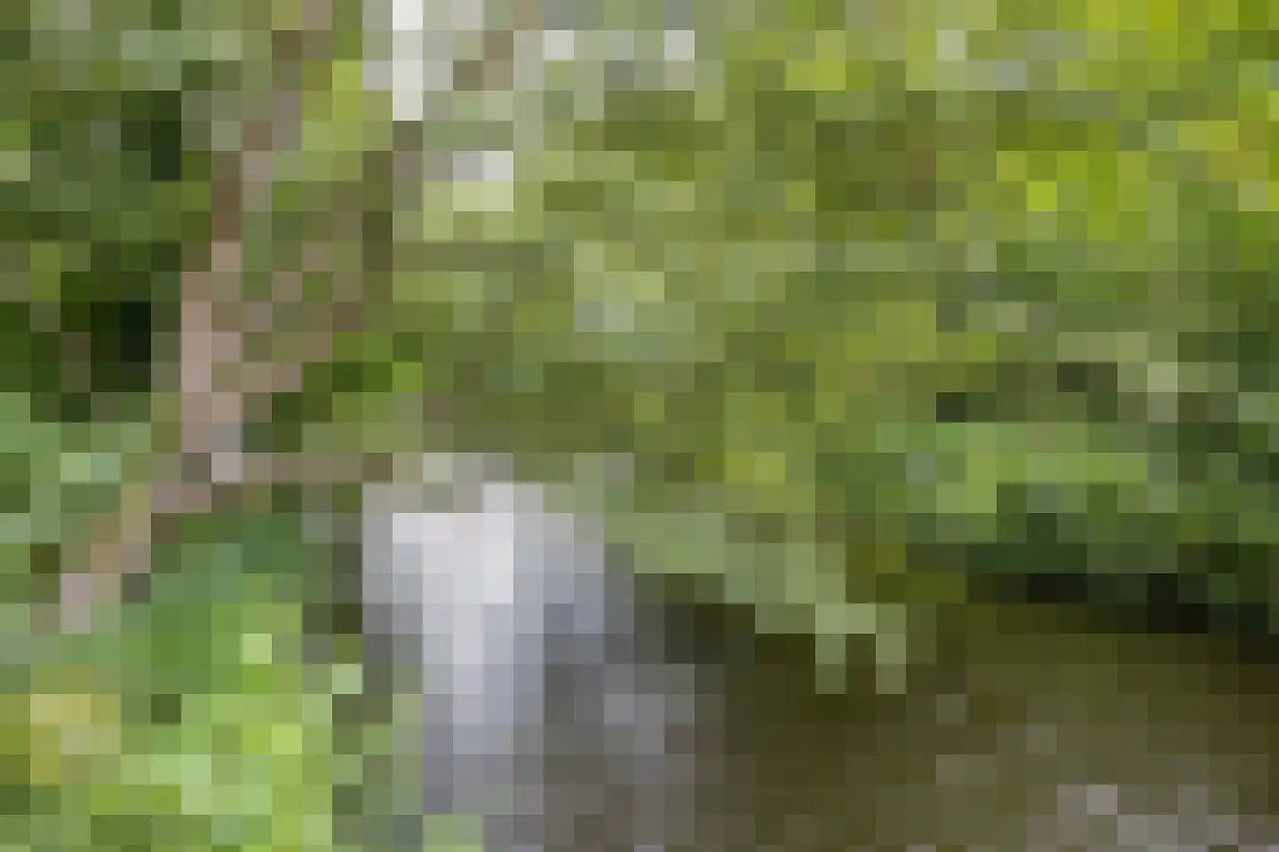 Gershwinlaan 18 Delft thumbnail 37