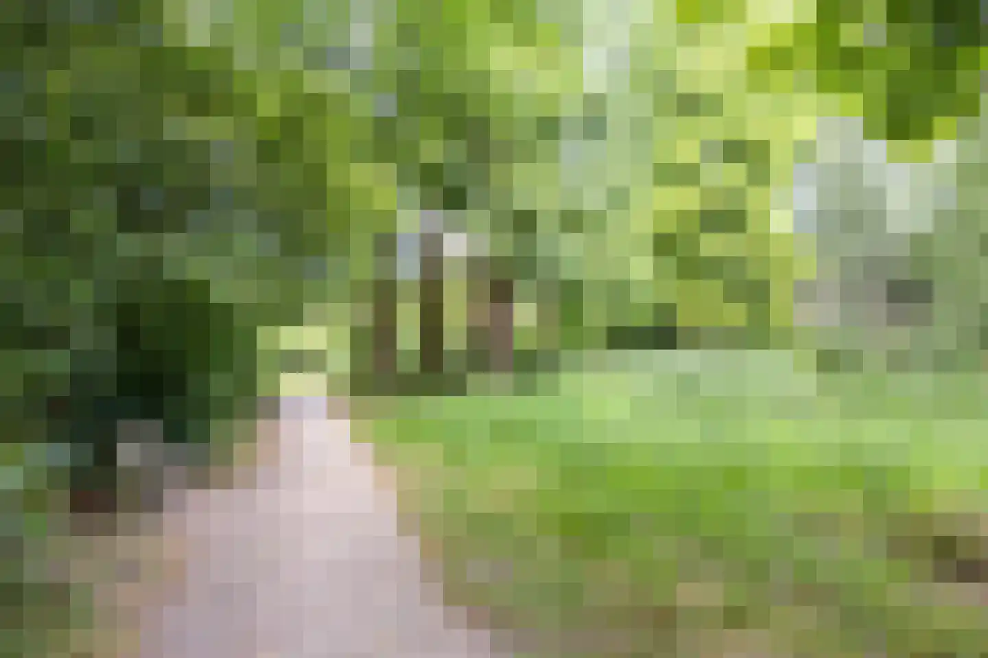 Gershwinlaan 18 Delft thumbnail 38