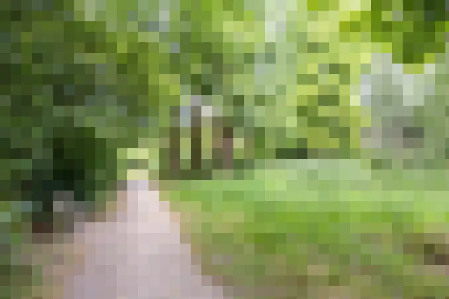 Gershwinlaan 18 Delft thumbnail 38