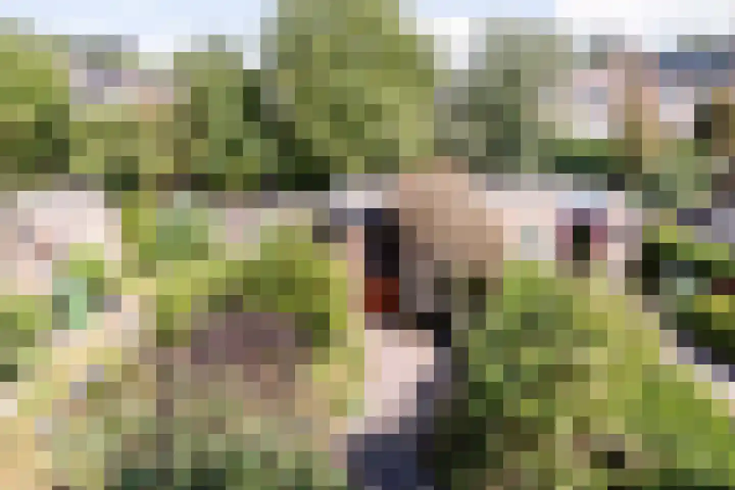 Gershwinlaan 18 Delft thumbnail 5