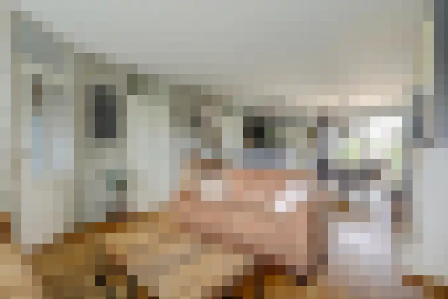 Gershwinstraat 23 Zwijndrecht thumbnail 8