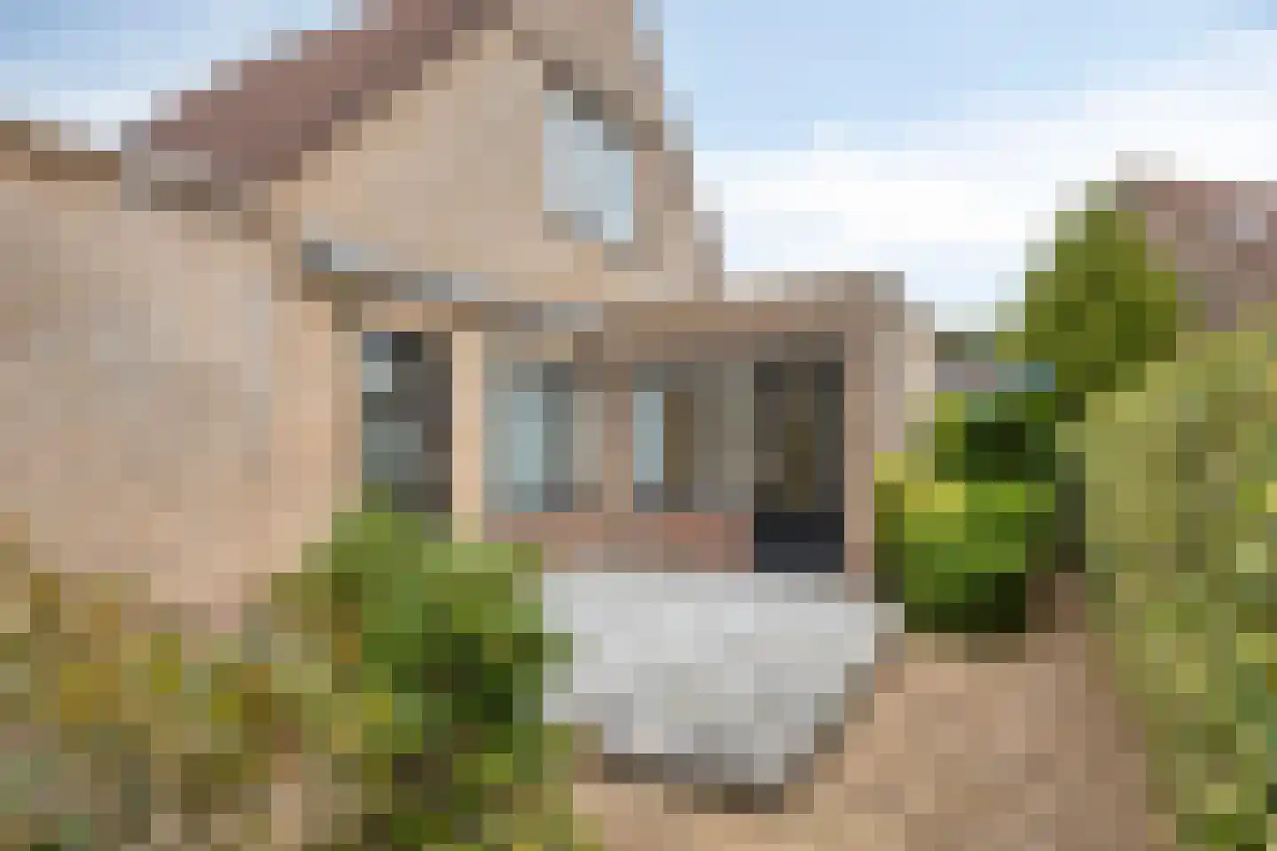 Gershwinstraat 55 Zwijndrecht thumbnail 28