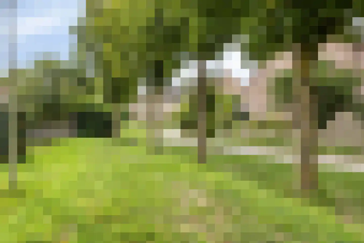 Gershwinstraat 55 Zwijndrecht thumbnail 33