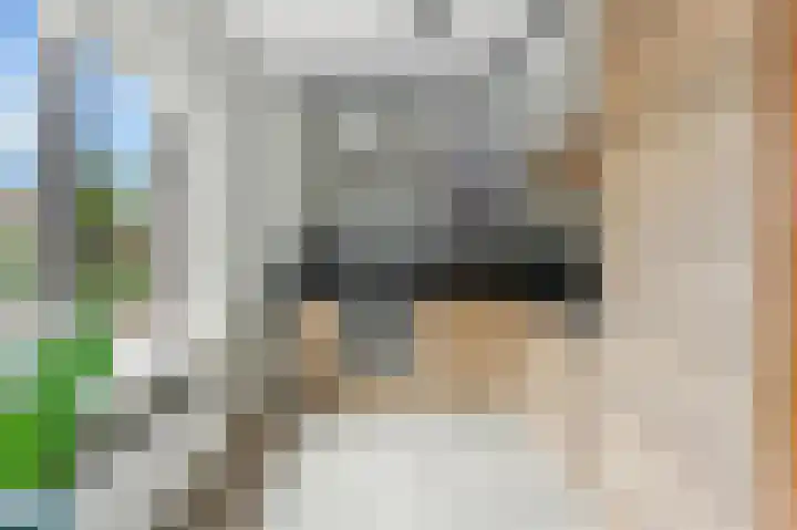 Gershwinstraat 89 Zwijndrecht thumbnail 13
