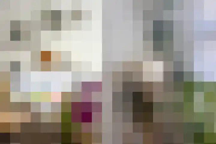 Gershwinstraat 9 Eindhoven thumbnail 11