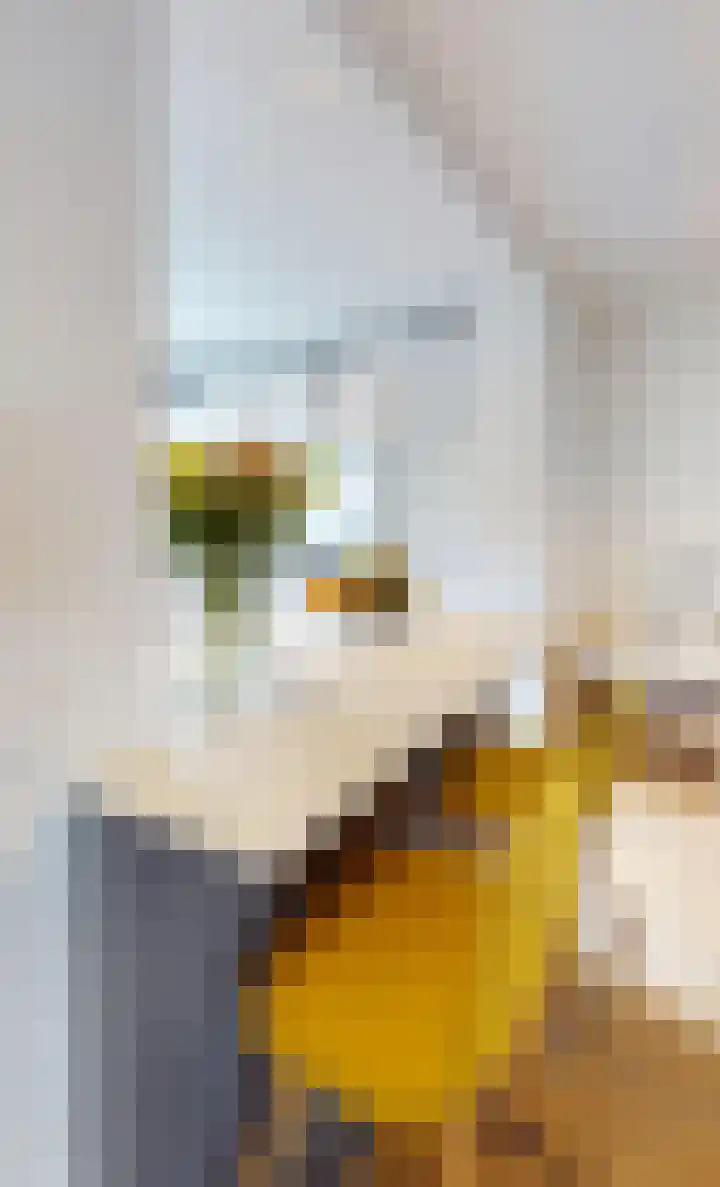 Gershwinstraat 9 Eindhoven thumbnail 21