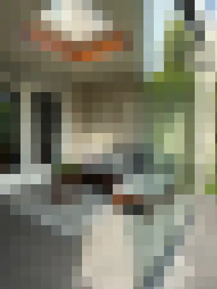 Gershwinstraat 9 Eindhoven thumbnail 39