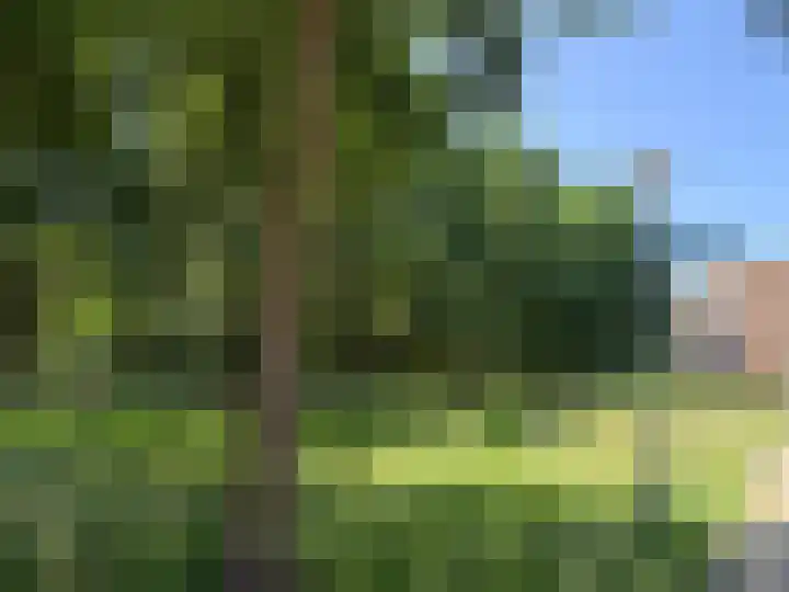 Gershwinstraat 9 Eindhoven thumbnail 46