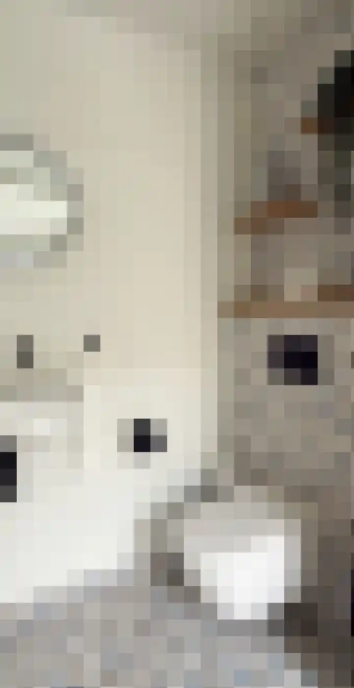 Gershwinstraat 9 Eindhoven thumbnail 7