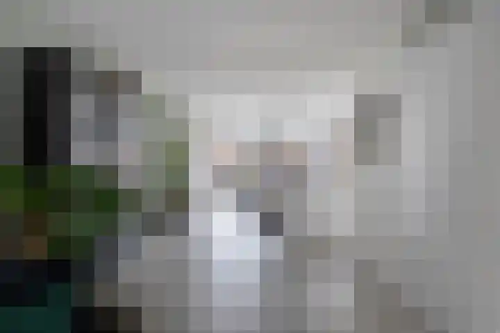 Gerst 15 Helden thumbnail 13