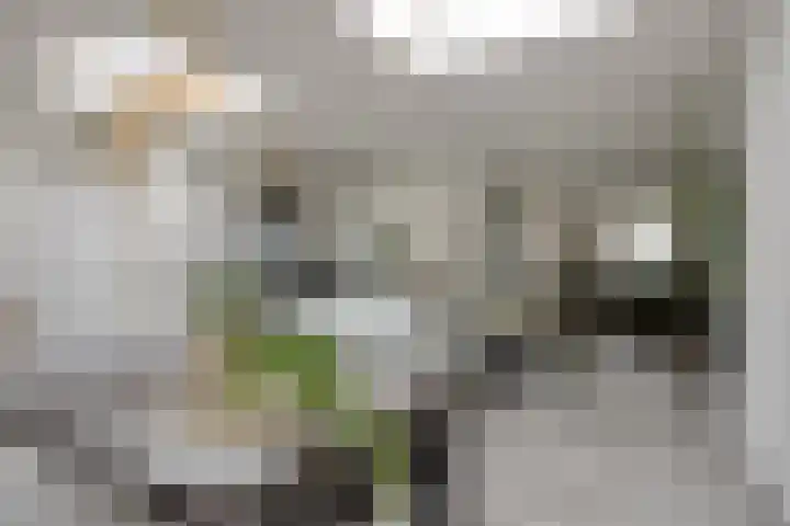 Gerst 15 Helden foto 2