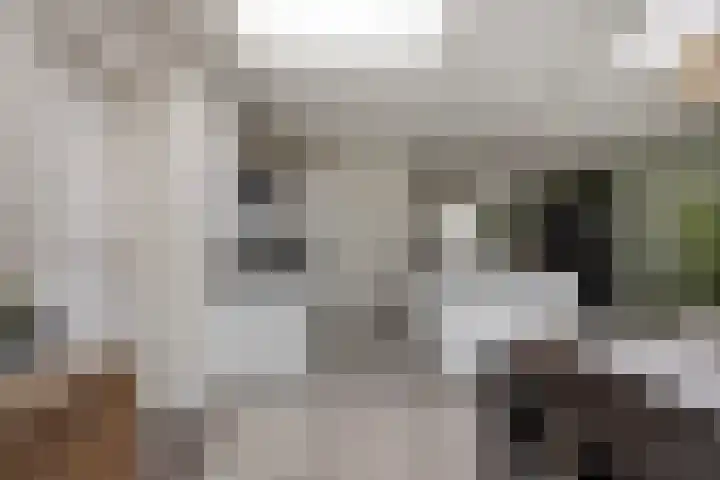 Gerst 15 Helden thumbnail 21