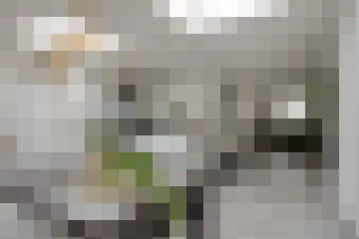 Gerst 15 Helden thumbnail 23