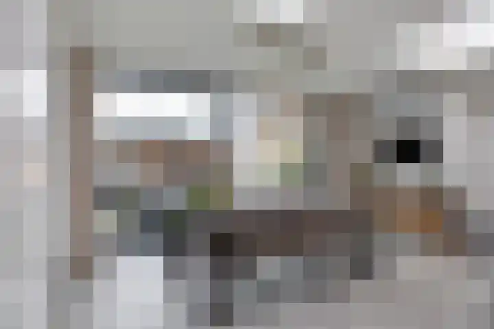 Gerst 15 Helden thumbnail 24