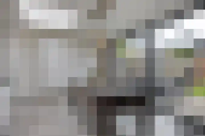 Gerst 15 Helden thumbnail 25