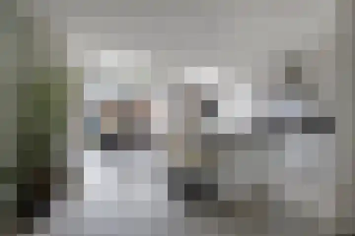 Gerst 15 Helden foto 3