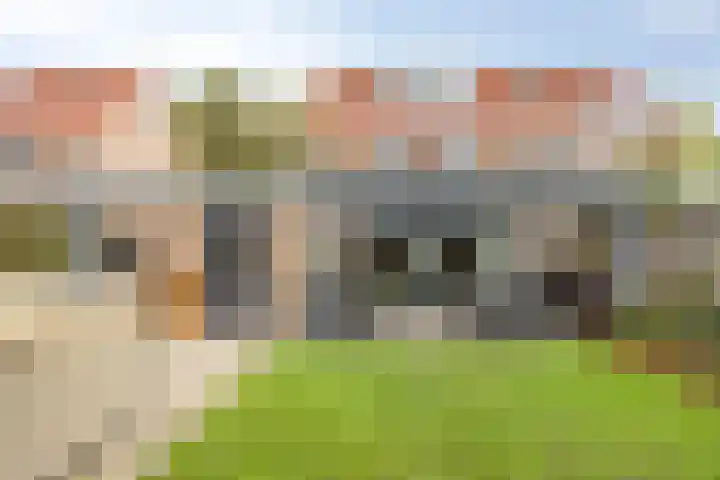 Gerst 15 Helden thumbnail 4