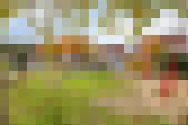 Gerst 15 Helden thumbnail 59