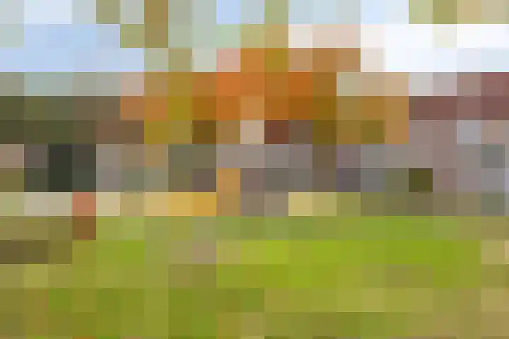 Gerst 15 Helden thumbnail 60