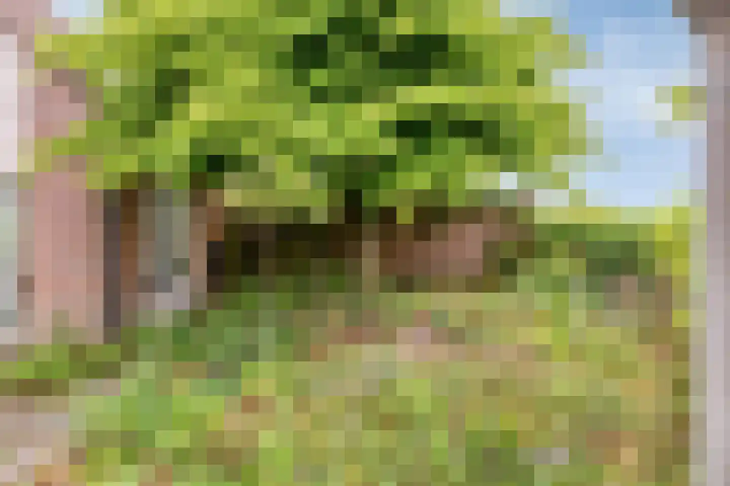 Gerst 20 Malden thumbnail 32
