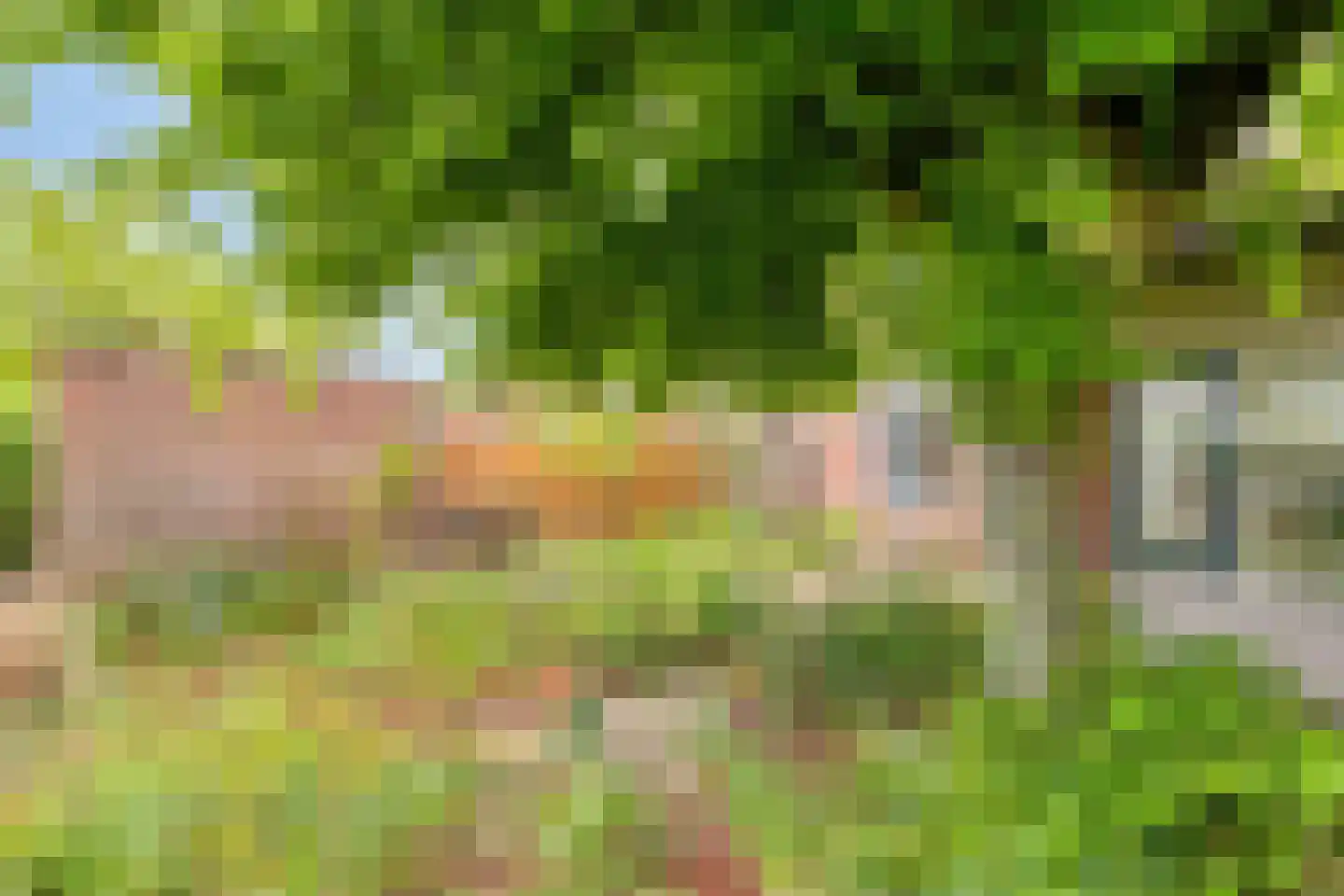 Gerst 20 Malden thumbnail 34