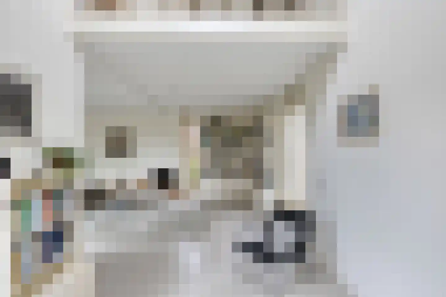 Gerst 20 Malden thumbnail 8