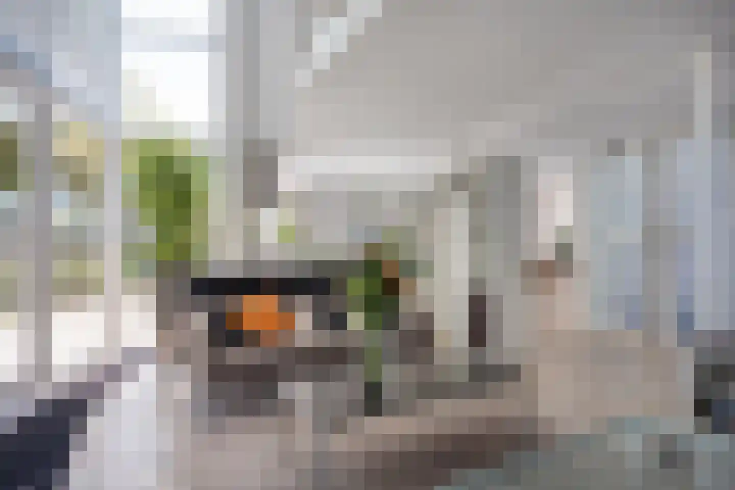 Gerst 27 Mierlo thumbnail 12