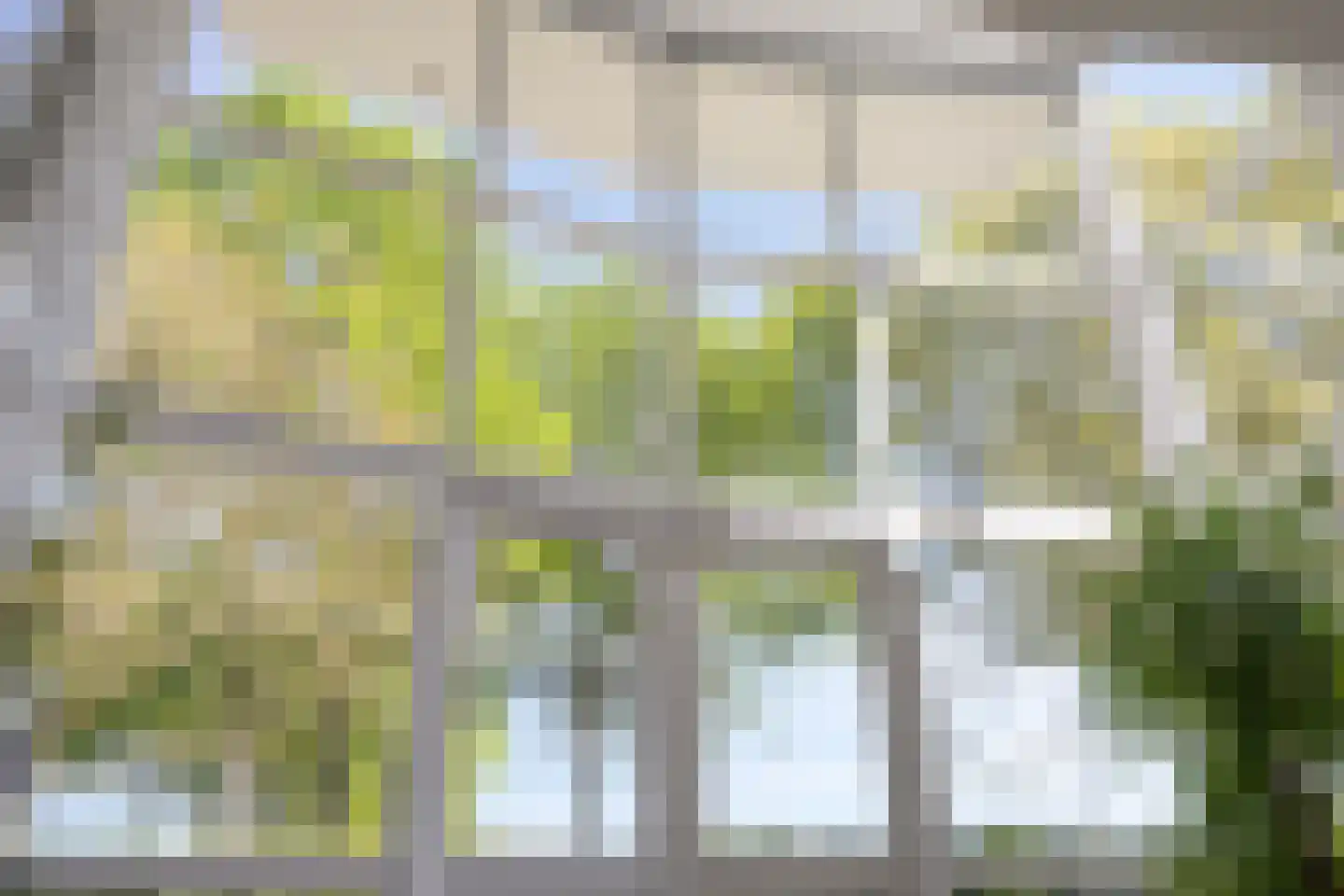 Gerst 27 Mierlo thumbnail 13