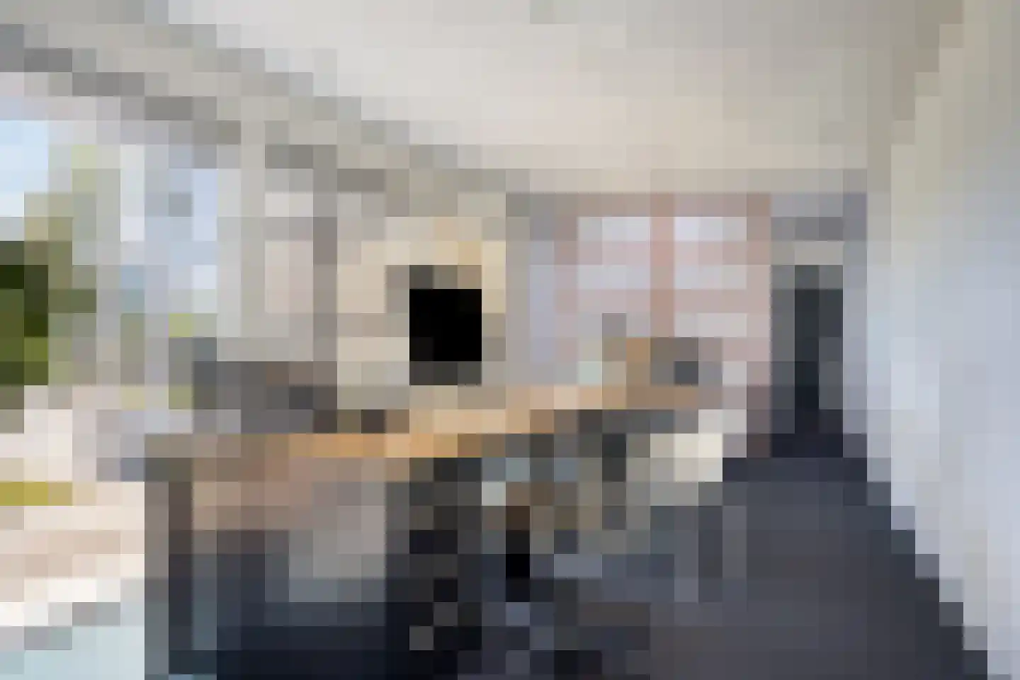 Gerst 27 Mierlo thumbnail 21