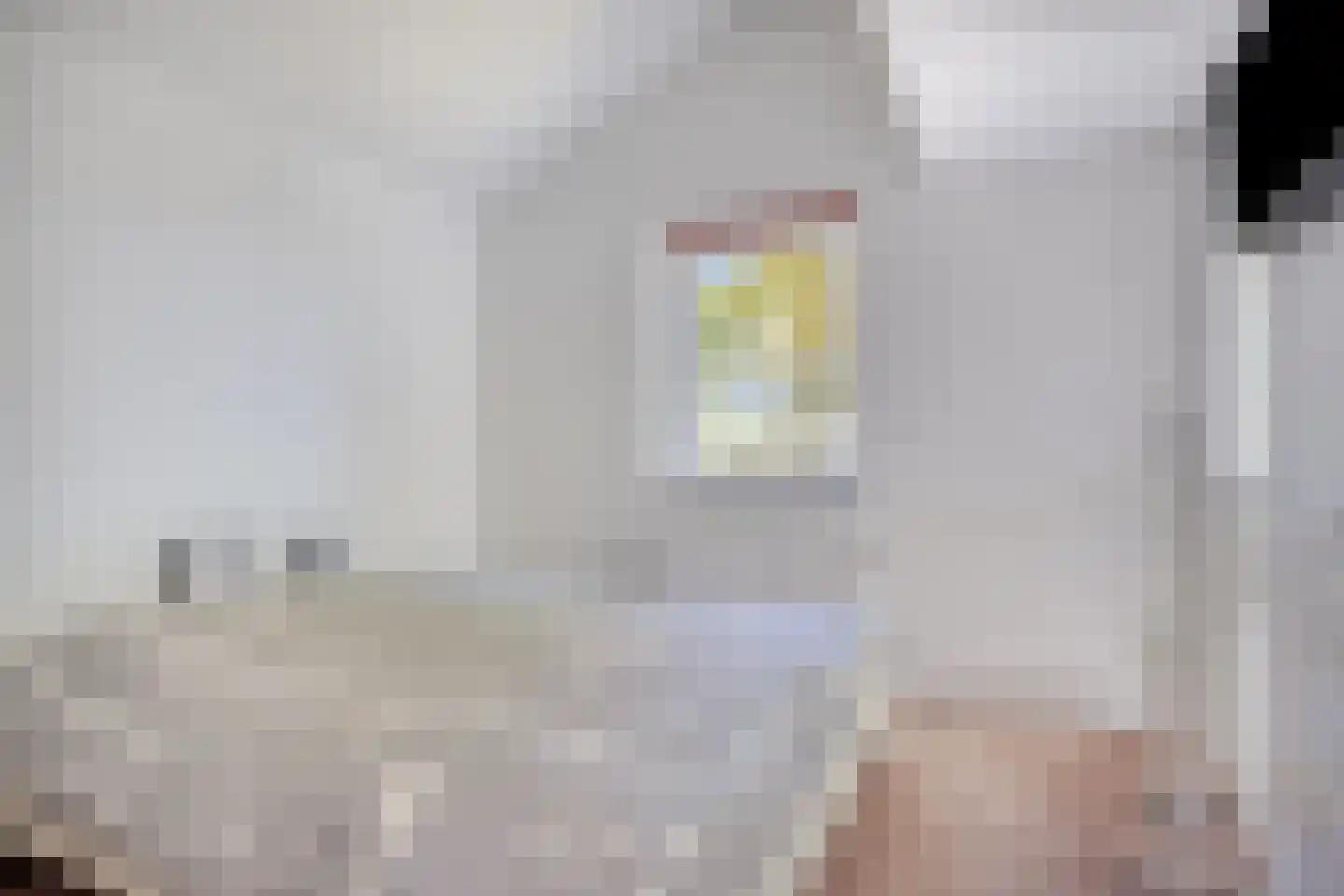 Gerst 27 Mierlo thumbnail 29