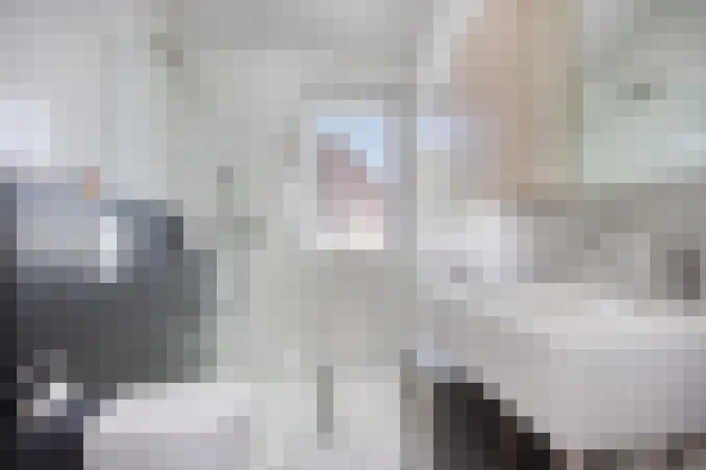 Gerst 27 Mierlo thumbnail 31