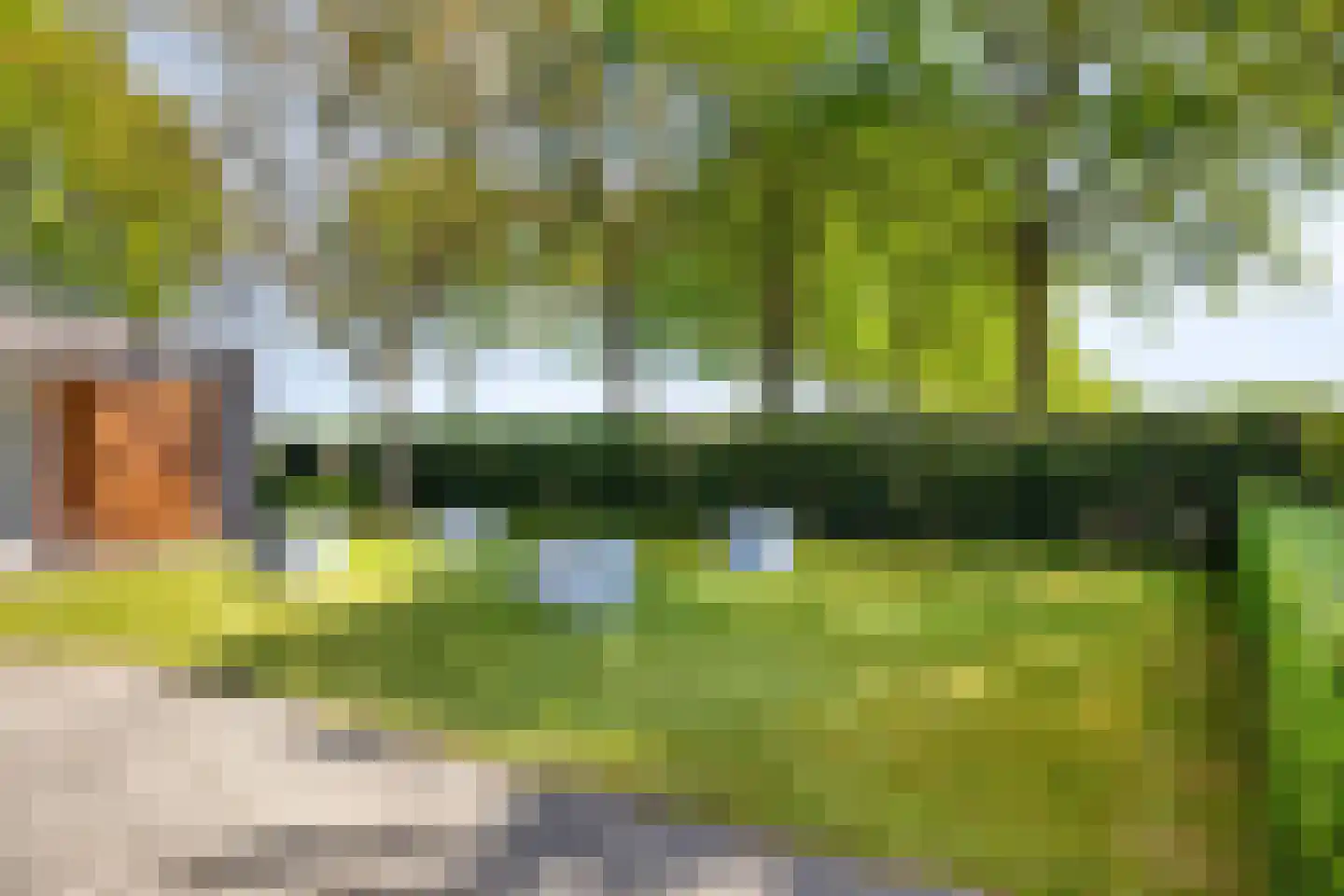 Gerst 27 Mierlo thumbnail 38