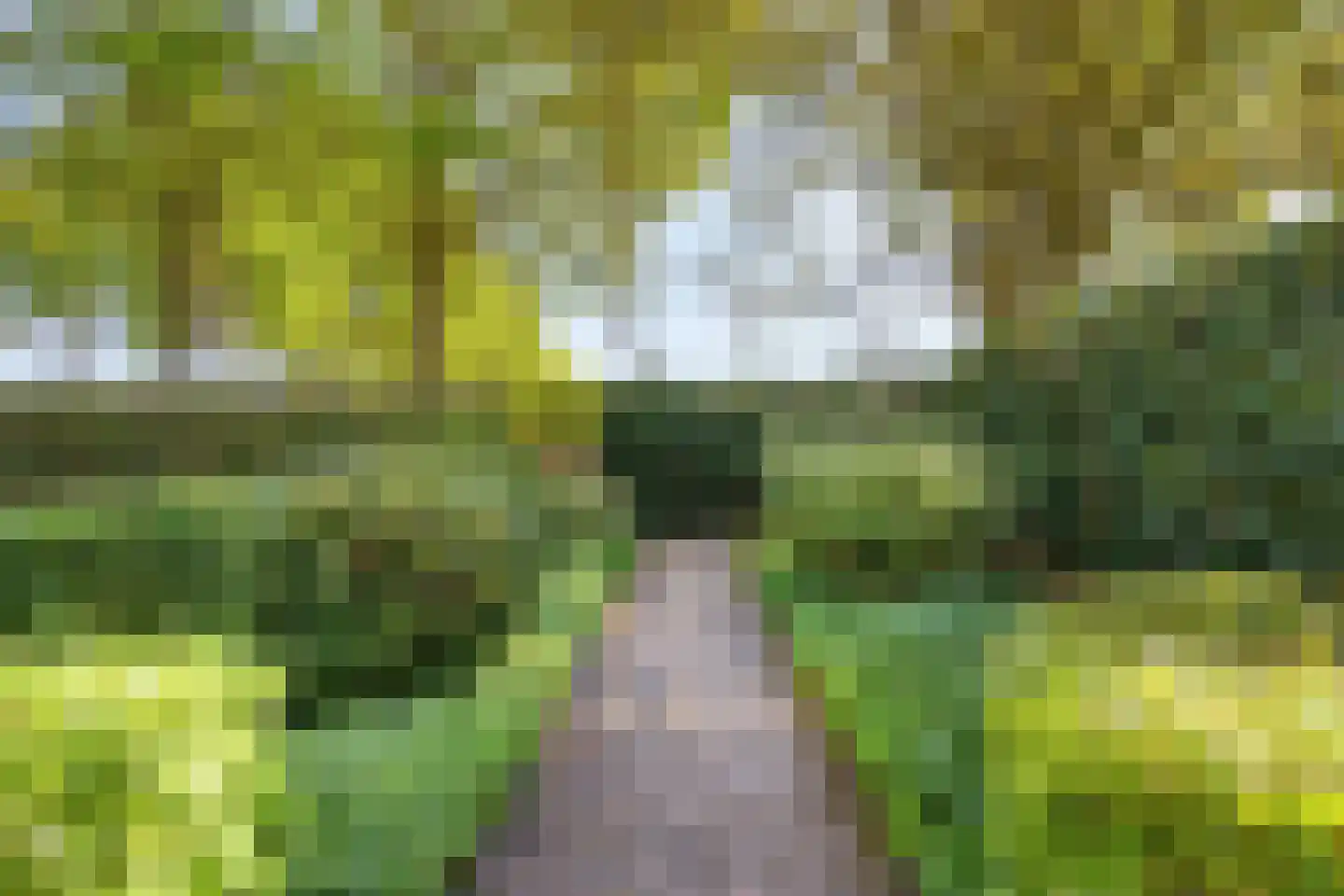 Gerst 27 Mierlo thumbnail 39