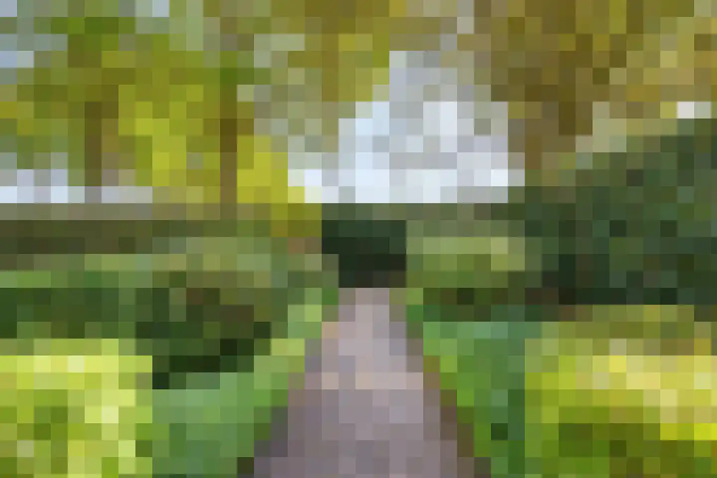 Gerst 27 Mierlo thumbnail 39